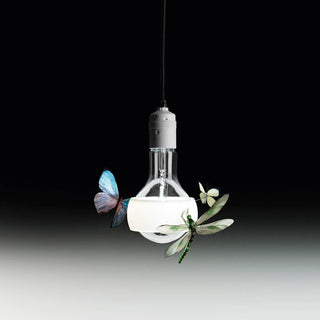 Ingo Maurer Johnny B. Butterfly suspension lamp - Buy now on ShopDecor - Discover the best products by INGO MAURER design